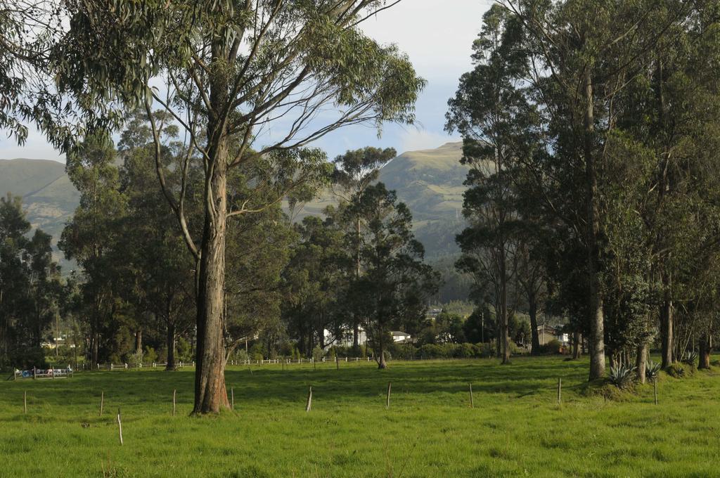 Molino San Juan Bed & Breakfast Cayambe Exterior photo